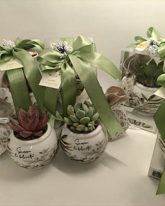 Bomboniere Karisma con piantine grasse in vasetti di ceramica e fiocchi in raso salvia
